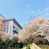  成都琴学堂-成都琴学堂招生简介