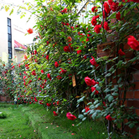  新右艺术培训-成都新右艺术培训中心招生简介