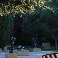  新越艺术培训-成都新越艺术培训中心招生简介