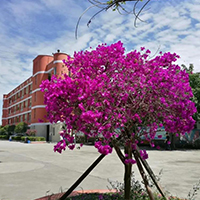  爱童艺术中心-爱童艺术中心招生简介