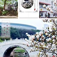  豪韵乐器-豪韵乐器招生简介