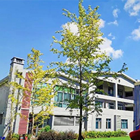  杨丁钰音教部-杨丁钰音教部招生简介