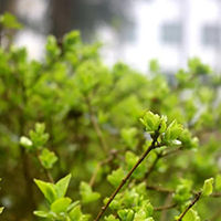  成都大飞天画室招生简介