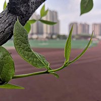  大雅时代艺术中心-成都大雅时代文化传播有限公司招生简介