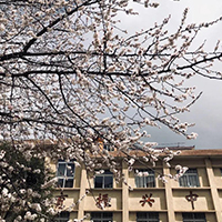  立心琴馆-成都立心古琴馆招生简介