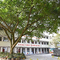  悦尔艺术培训-悦尔艺术培训招生简介