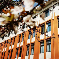  成都市首家成年人钢琴教育培训-成都市首家成年人钢琴教育培训机构招生简介