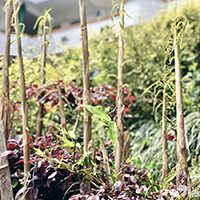  成都乐艺星美艺术学校招生简介