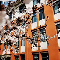  精艺堂-精艺堂乐器培训中心招生简介