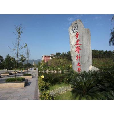  重庆医科大学护理学院-2022年最新简况