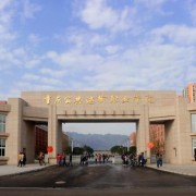  重庆公共运输职业学院五年制大专-2022年概况