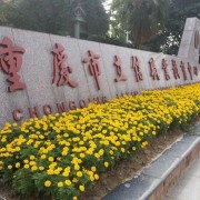  重庆立信职业汽车教育中心