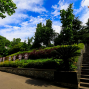  遵义第二十二中学