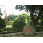  萝岗区第九十一中学