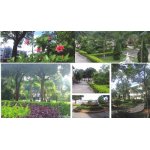  紫金县古竹中学