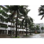  深圳市坪山中学