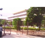  茂名市电白县第六中学