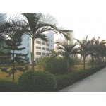  新兴县第一中学（新兴一中）