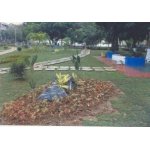  湛江市雷州市第一中学（雷州一中）