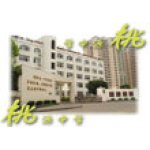  深圳市桃源中学