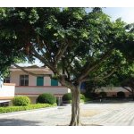  珠江市斗门镇初级中学