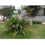  珠海市和风中学