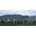  阳春市瑞兴中学