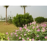  云浮市罗定实验中学