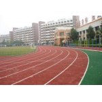  佛山市顺德区华侨中学