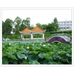  惠州市博罗县龙溪中学