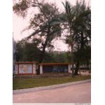  阳春市松柏中学