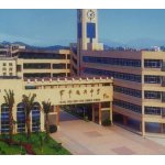  东莞市常平振兴中学