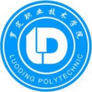  罗定职业技术学院五年制大专-2022年简况