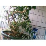  韶关市仁化县周田中学-2022年简况