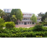  深圳市梧桐学校