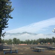  北京艺术传媒职业学院单招