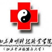  山东中西医结合汽车大学