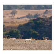  青岛中鲁汽车维修学校