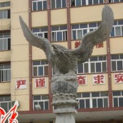  山东聊城贸易汽车学校