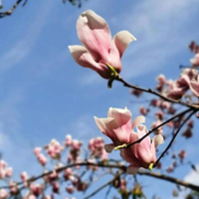  河南师范大学影视艺术职业教育