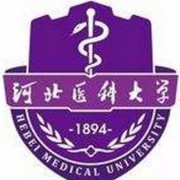 河北医科大学临床学院--2022最新