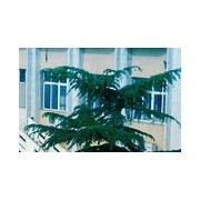  河北省沧州卫生学校