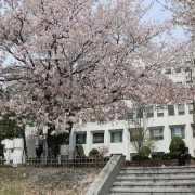  宝鸡机电机械学校