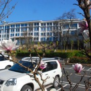  昆明铁道职业技术学院五年制大专高铁学校