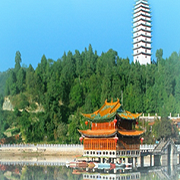  隆阳区职业技术学校