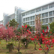  宿州职业技术汽车学院