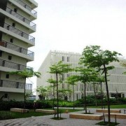  三亚城市职业汽车学院