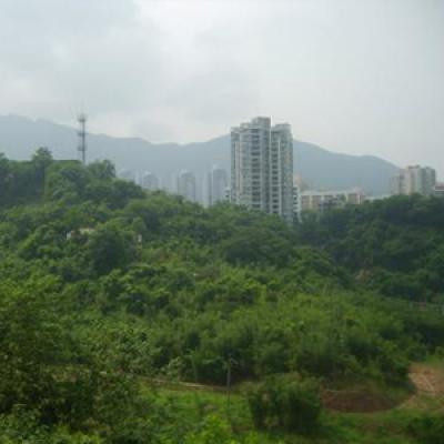  武汉民政职业学院单招