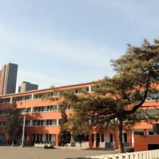  新疆生产建设兵团兴新职业技术学院单招