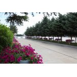  松原市实验高级中学